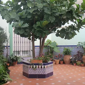 Drago Pueblo Nuevo de Guadiaro